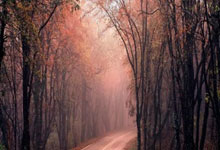 常用化學危險品貯存通則 GB 15603-1995